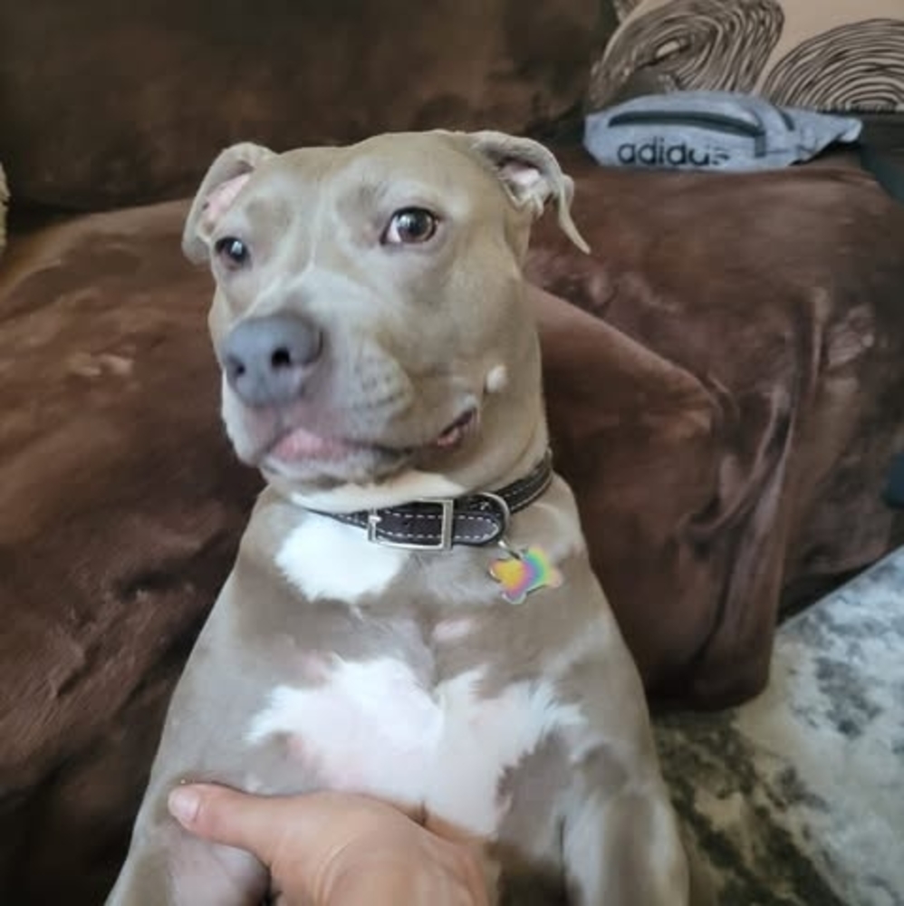 Meet your Posher, Lidia